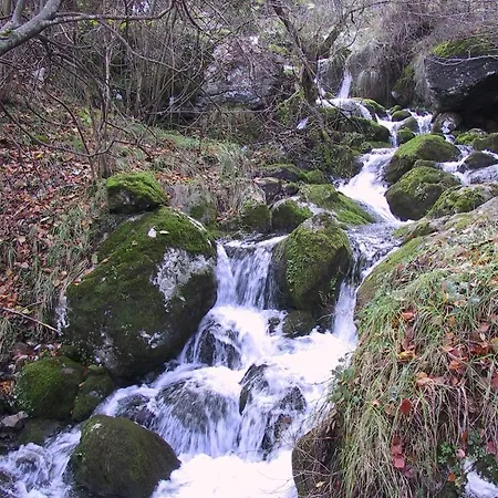 Casucas De Ason