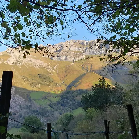 Casucas De Ason Arredondo