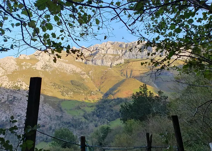 Casucas De Ason Arredondo